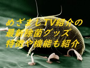 めざましTV紹介の最新除菌グッズ特徴や機能も紹介